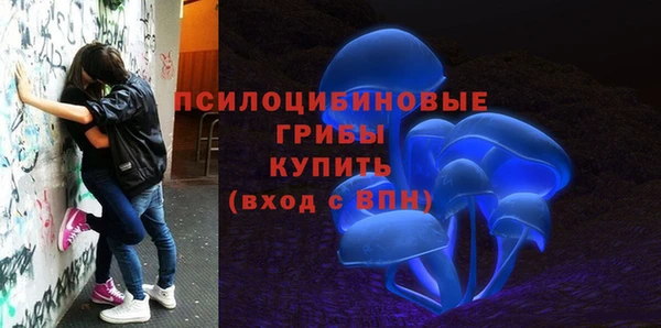 spice Лихославль